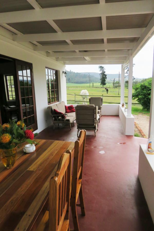 Out Of Plett Villa Plettenberg Bay Dış mekan fotoğraf